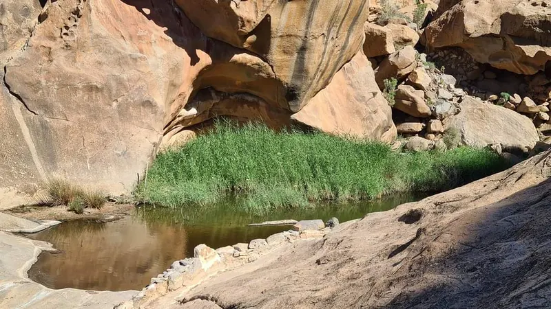 Wasserstelle zwischen Felsen in der Schlucht