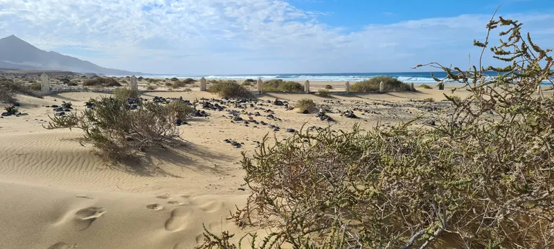 Dünen mit Sträuchern am Meer