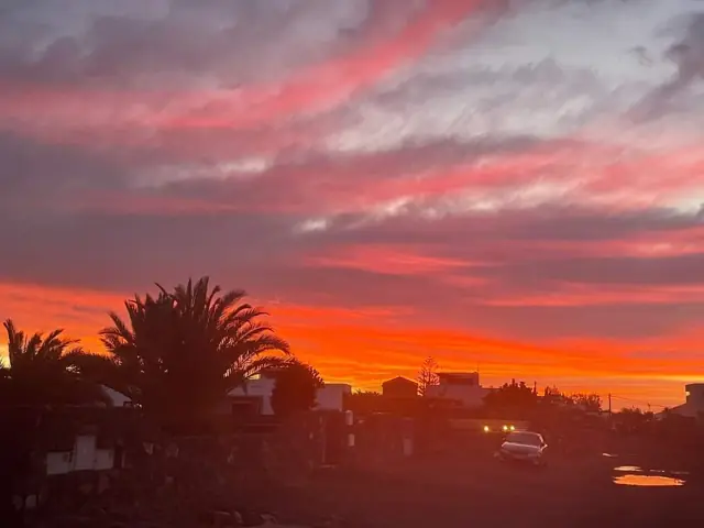Roter Abendhimmel über Palmen